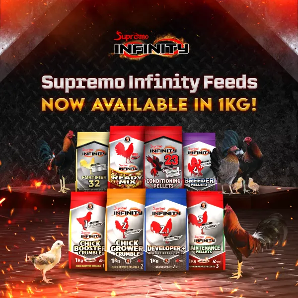 SupremoInfinity